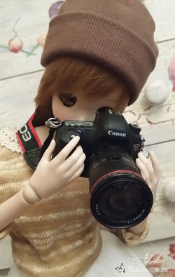 Akiko Mirai・秋子・未来