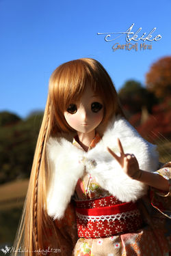 Akiko Mirai・秋子・未来