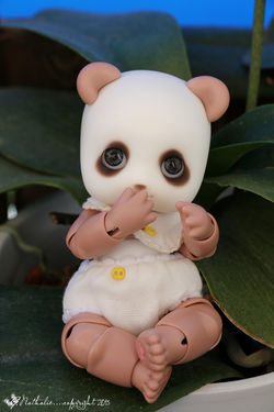 Soom Pandi - Bao 2015