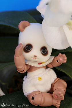 Soom Pandi - Bao 2015