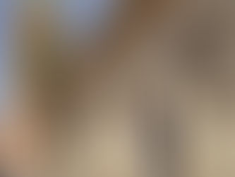 زيارة مراكش في شهر مايو: الطقس + المهرجانات + الأنشطة