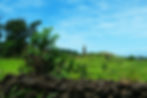 A single moai statue behind a volcanic stone wall in Easter Island - one of the best places to dive in South America