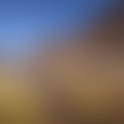 هل أحتاج إلى تأمين سفر إلى المغرب؟ كل ما تحتاج لمعرفته