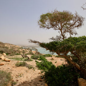 9 of the Best Tours in Agadir: Culture + Food + Adventure