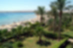 Palm trees tower above a beachfront eco-resort on the Red Sea