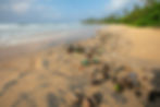 Plastic waste washed up on a tropical beach
