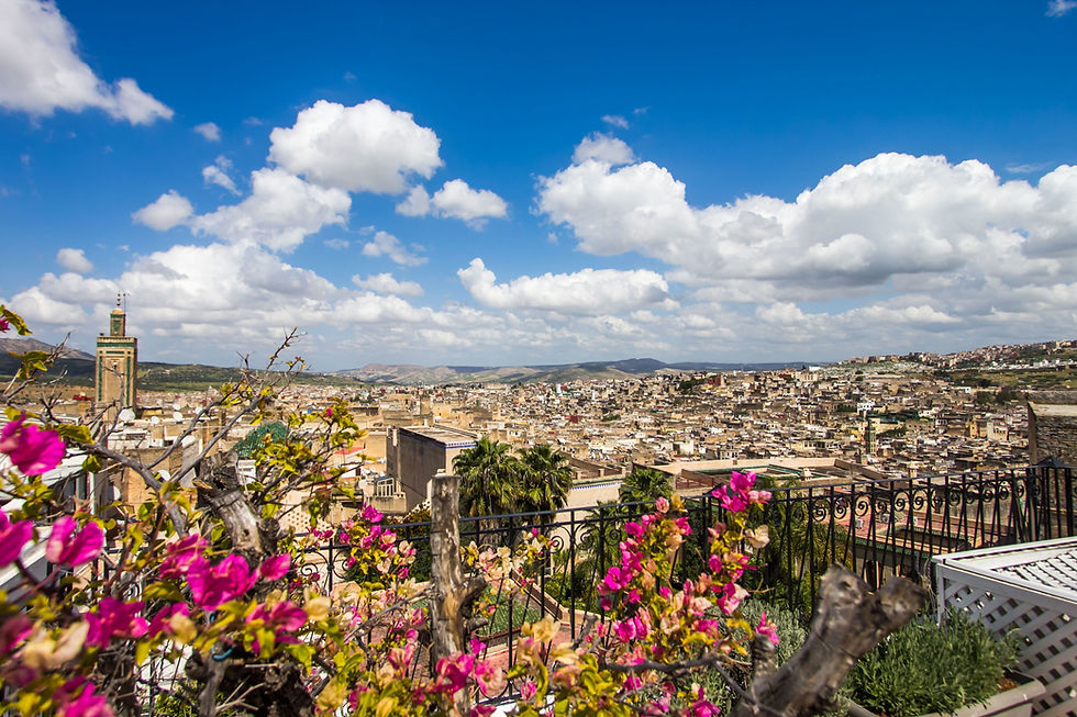 Views across the medina from a 5-star hotel in Fes