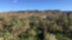 Views across a palm oasis and mountains from one of the best hotels in Agdz