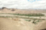 An elevated view across Agdz and its surrounding palmeraie