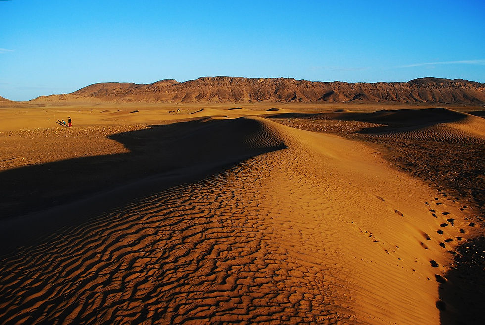 Sunset illuminates the rocky desert landscapes on the outskirts of Zagora, Morocco