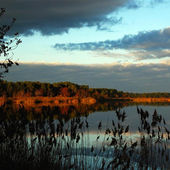 Profitez d’un séjour nature Carcans exceptionnel
