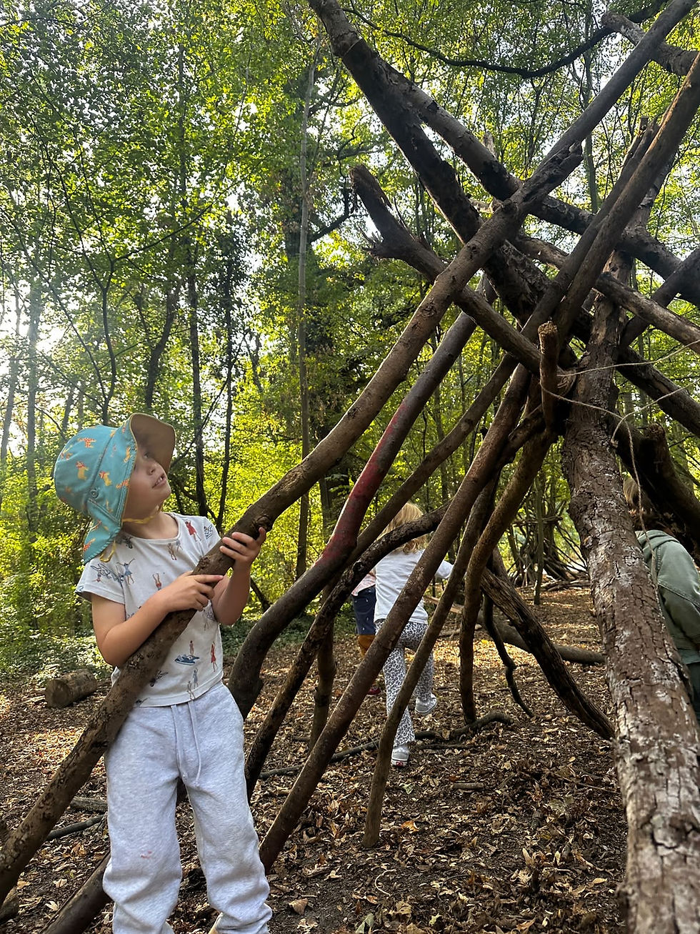 Wander and Wonder Nature Club St Germain en laye.JPG