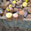 Miniatura: 7 TONS TARUGOS AÇO CARBONO | 3 A 6 POLEGADAS | PINDAMONHANGABA | R$ 5,50 KG