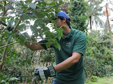 delbert gardening 2.jpg