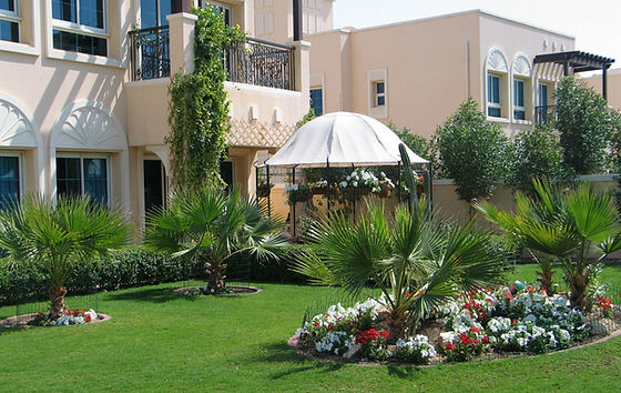Completed Desert Garden