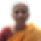 Dr. Bhagyalata Pataskar