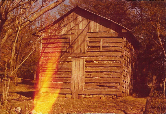 Headlee Cabin - West side photo credit M