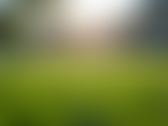 Keokuk Iowa Hydroseeding Tips for Rapid Grass Growth in Southeast Iowas River City