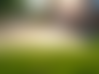 Hydroseeding in Maquoketa Iowa Your Ultimate Guide to Jackson County Lawn Care