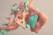3D Splash  