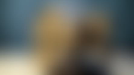 Immobili all'asta e agevolazione prima casa