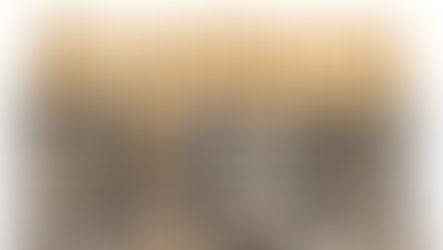 Bonus 200 euro e autodichiarazione