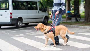 Il Cane Guida e le detrazioni IRPEF nel modello 730/2022