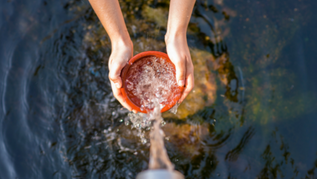 Bonus acqua potabile