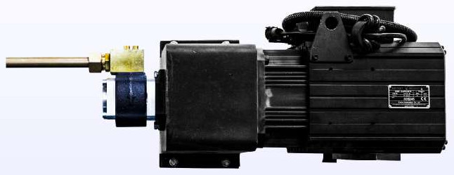 Servomotor principal