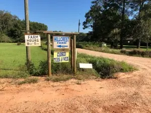 Hillcrest Farm