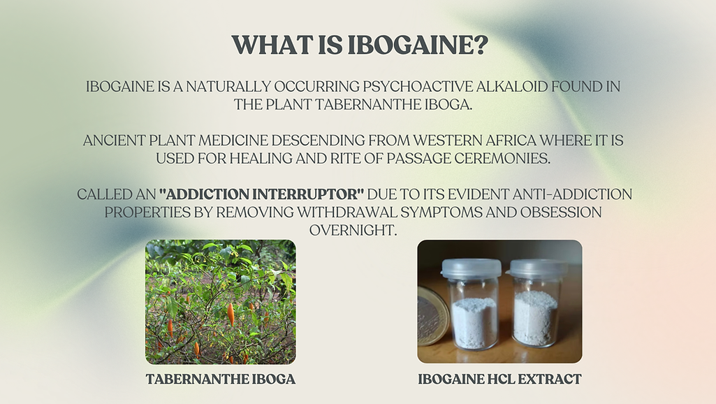 WHAT IS IBOGAINE.png