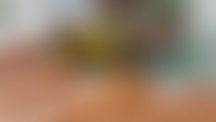 טיפ 23: חידושים וחשקים