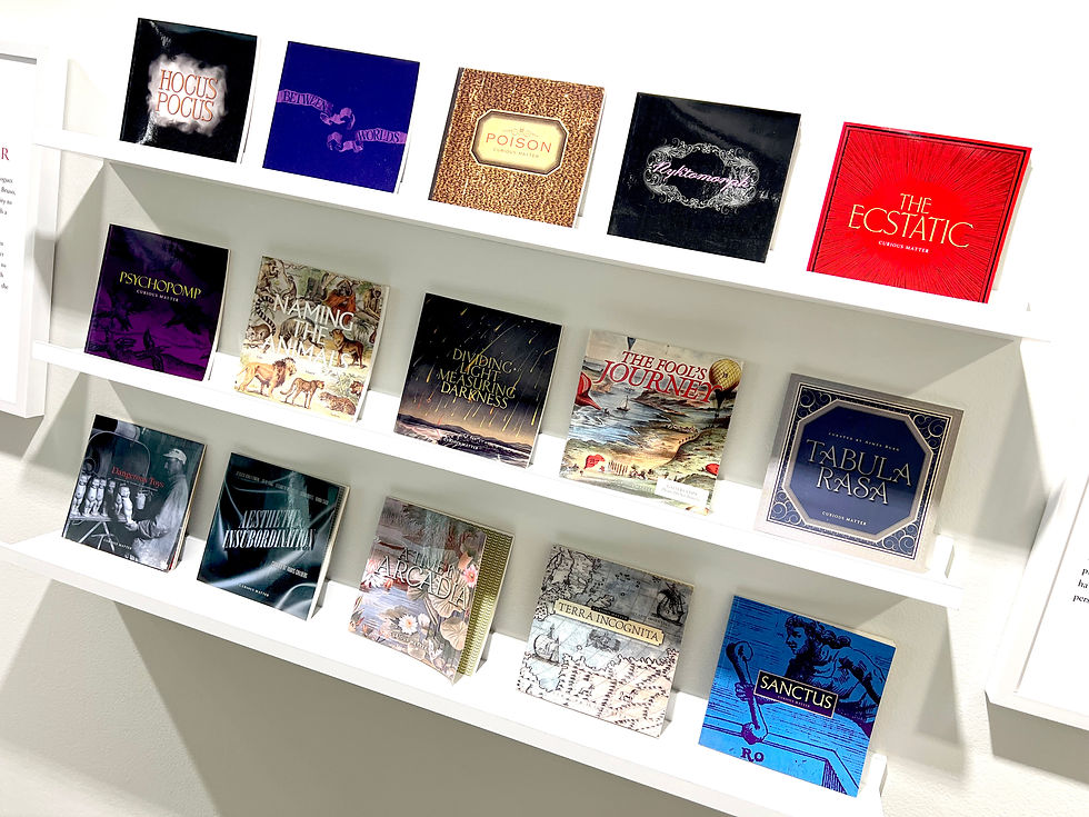 Books with colorful covers are displayed on two white shelves. Titles include: "Hocus Pocus," "Naming the Animals," "The Ecstatic."