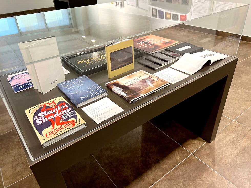 Glass display case featuring books with colorful covers and visible titles like "A Slant of Shadow" on a brown tile floor background.