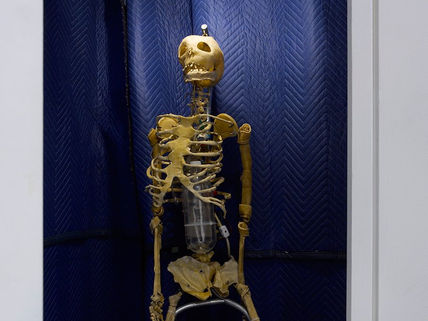 Penitent - Tim Hawkinson