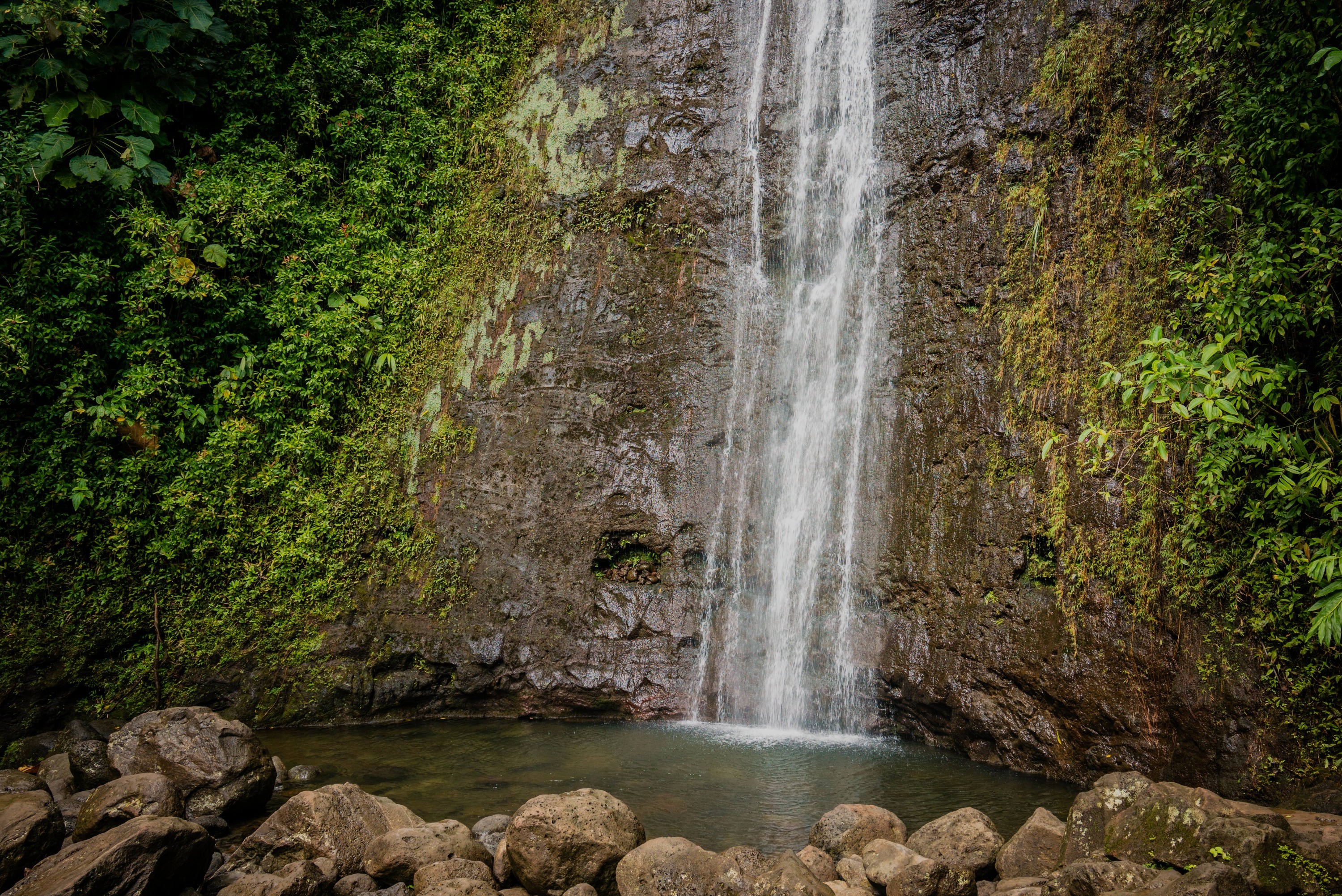 Manoa Falls Bike Route