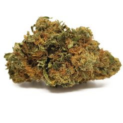 Girl Scout Cookie (AAA)
