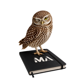 Creamos tu book profesional personalizado
