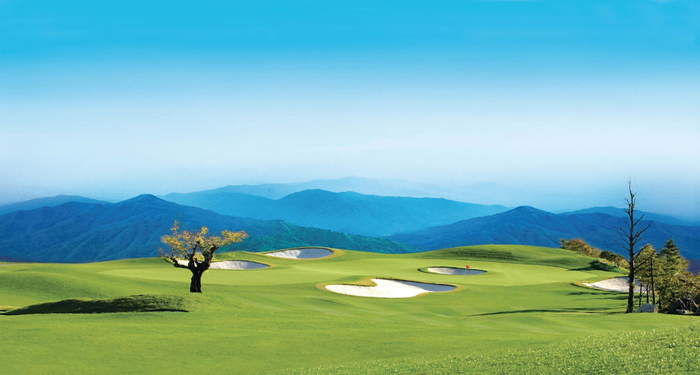 소노펠리체CC 비발디파크 WEST (7).jpg
