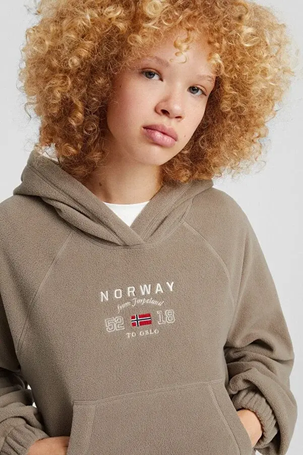 Thumbnail: Bershka İşlemeli polar kapüşonlu sweatshirt