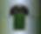 APELO Green Football Jersey