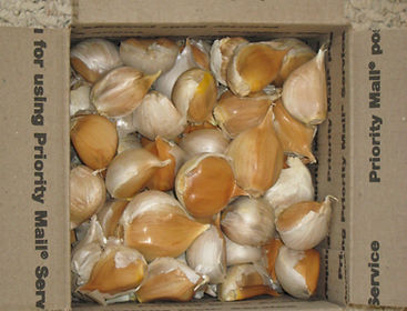 5 pounds of Cloves.JPG