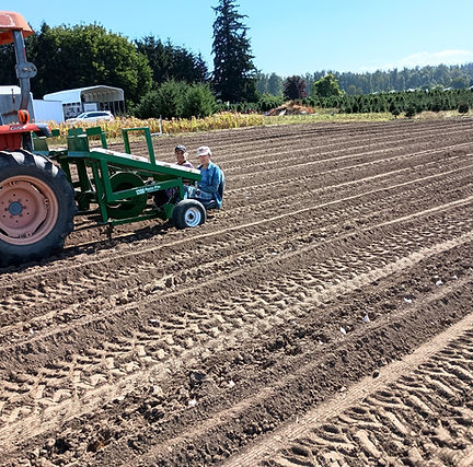Planting 2024.jpg