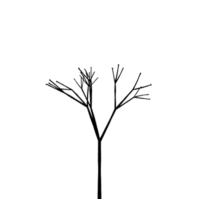 tumblr_o72z0oUEa01rkp3h4o1_400.gif