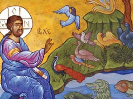 I cristiani custodi del creato e testimoni dell'ecologia della fede