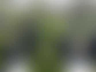 Celebrating Engineers: Appreciation Post for the Teams that Keep Sites Running