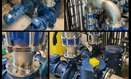 Maldon Case Study Image (2).jpg