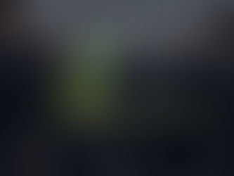 navigating site complexities