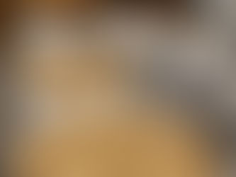 Bags of bamboo chips