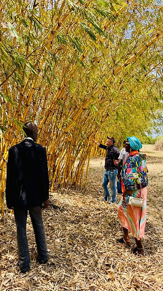 visit bamboo field.JPG